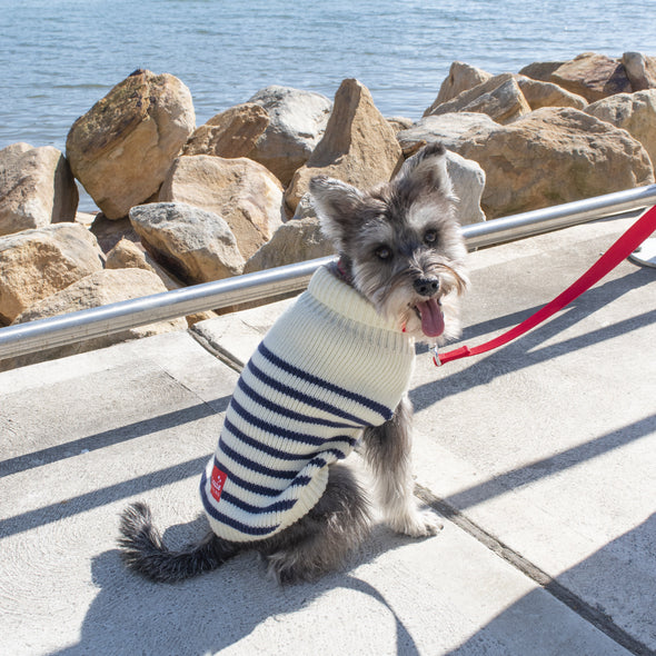 Stripe Cardigan - Navy/White